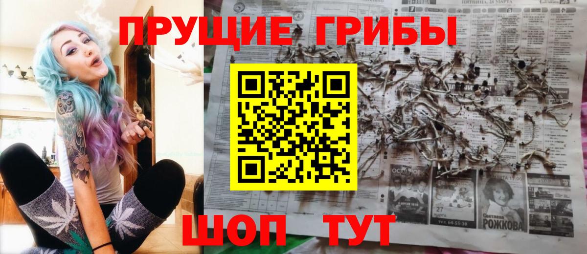 Кстово  Галлюциногенные грибы MAGIC MUSHROOMS  Вход с VPN 